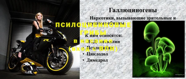 мяу мяу мука Алексин