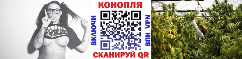 Бошки Шишки THC 21%  закладки  Красноармейск 